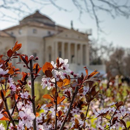 Appartamentopalladio140 ヴィチェンツァ エクステリア 写真