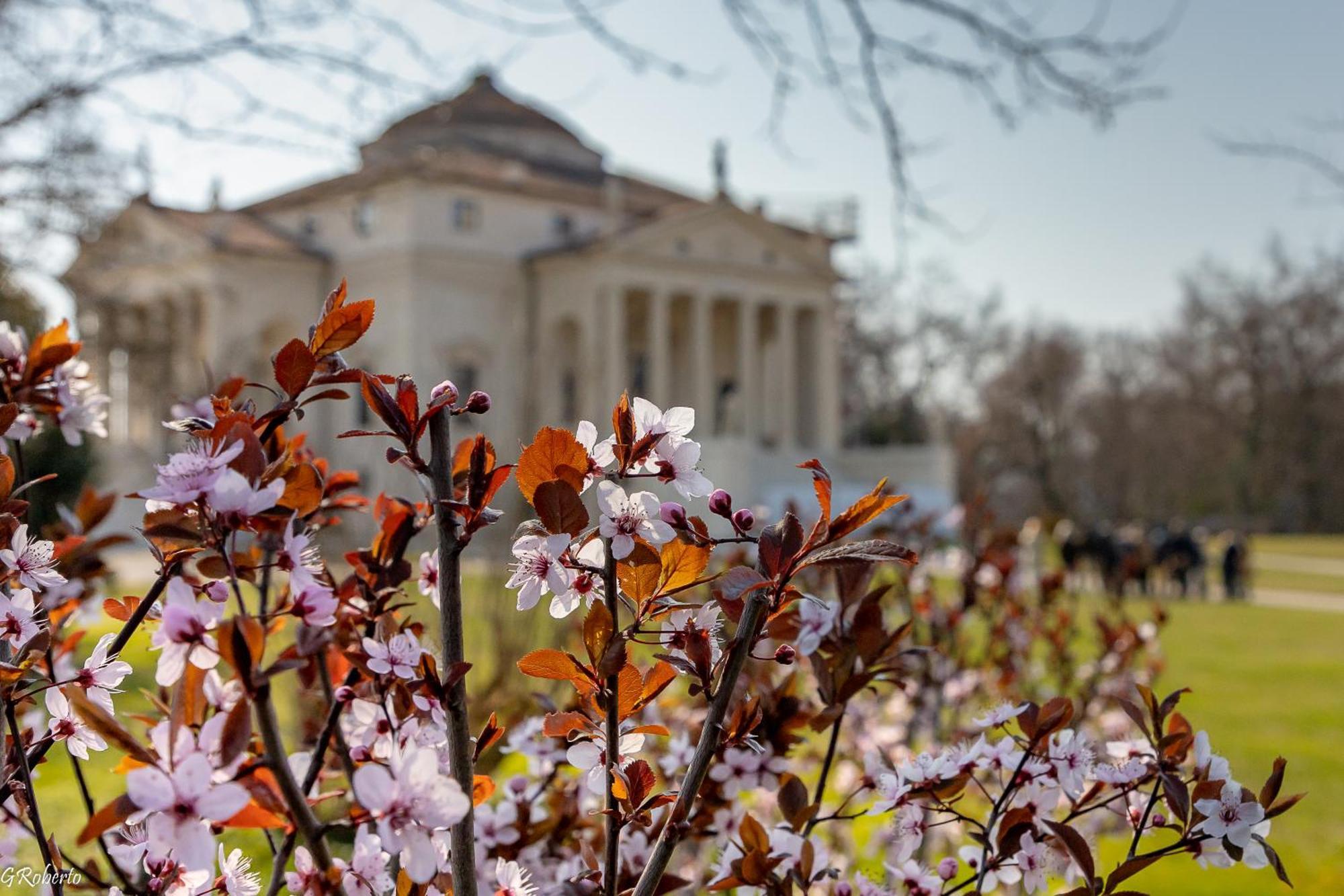 Appartamentopalladio140 ヴィチェンツァ エクステリア 写真